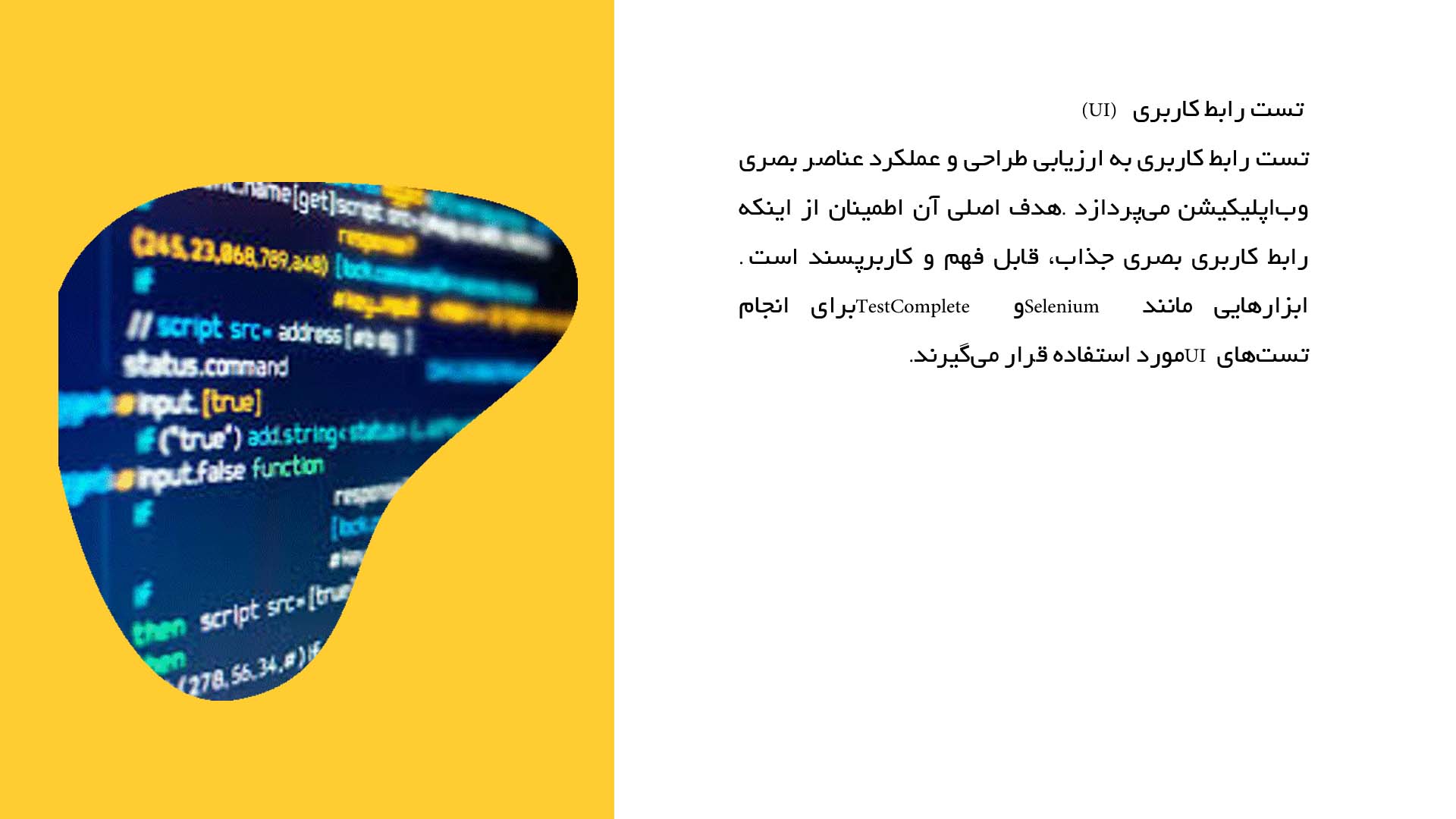 پاورپوینت در مورد فنون تست وب‌اپلیکیشن